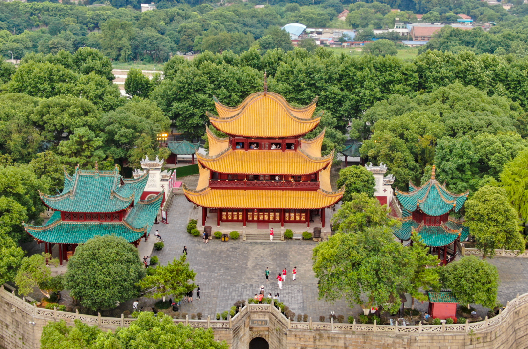 image007.png image007.png